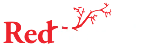 RedBranch Realty